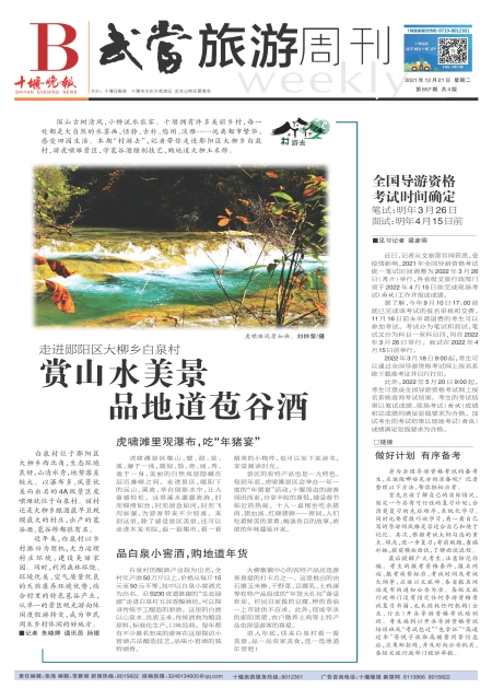 B01版导读