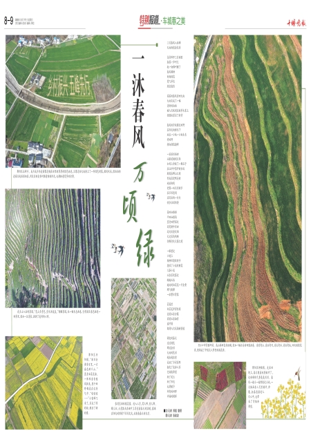 A09版导读 A09版导读