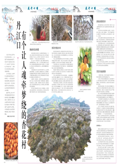 A09版导读