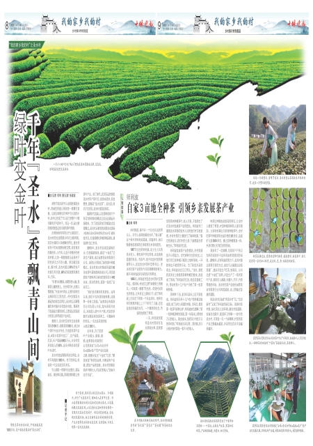 A09版导读