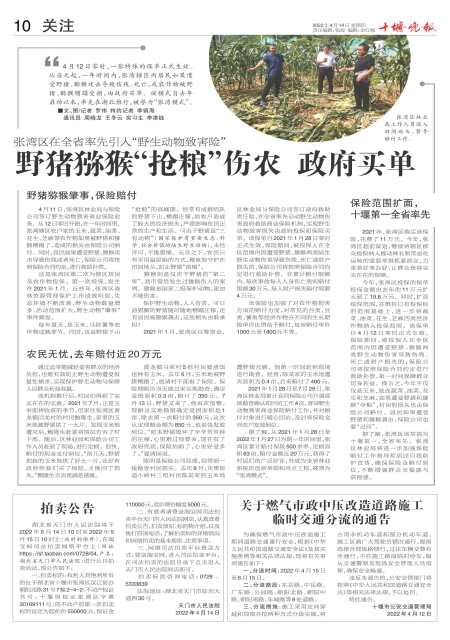 A10版导读