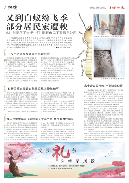 A07版导读
