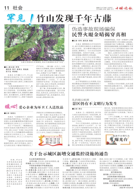 A11版导读