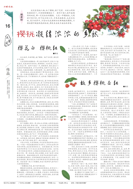 A16版导读