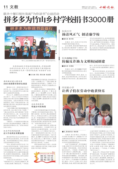 A11版导读