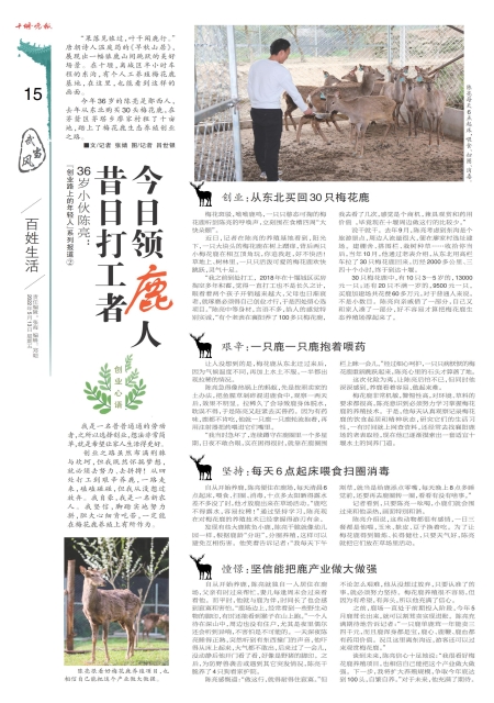 A15版导读