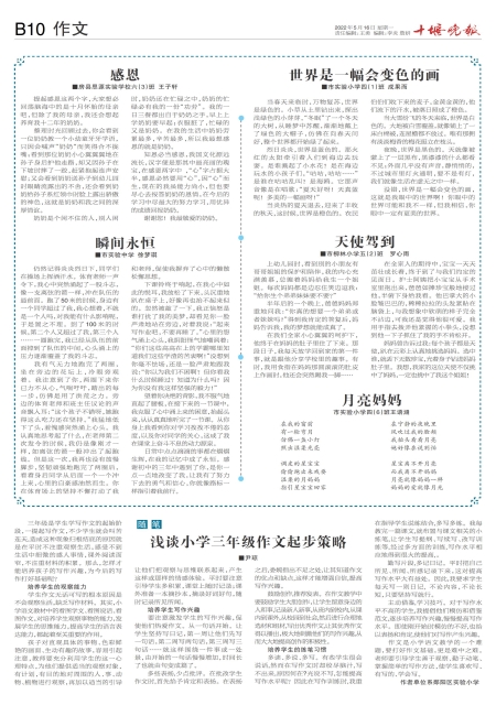 B10版导读