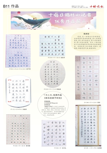 B11版导读