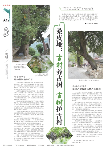 A12版导读