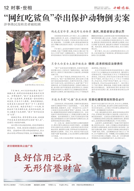 A12版导读
