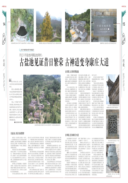 A15版导读
