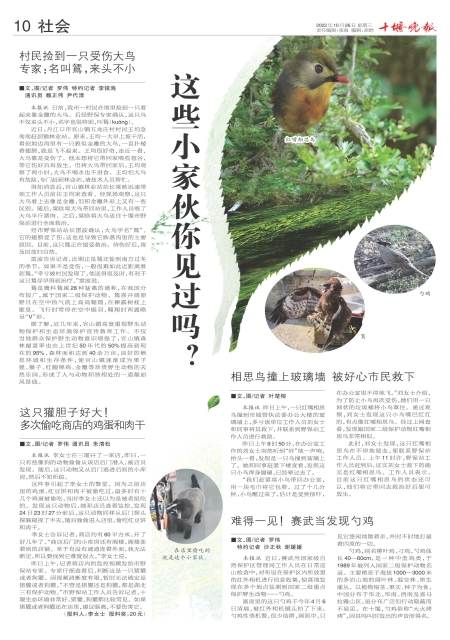 A10版导读