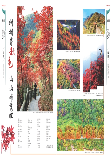 A10版导读