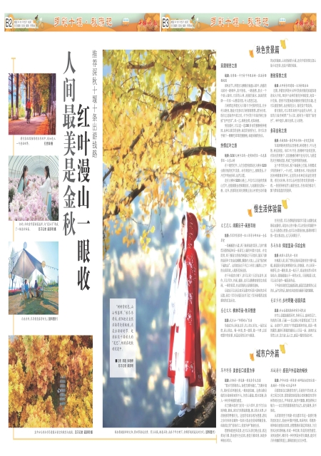 B03版导读