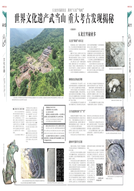 A11版导读