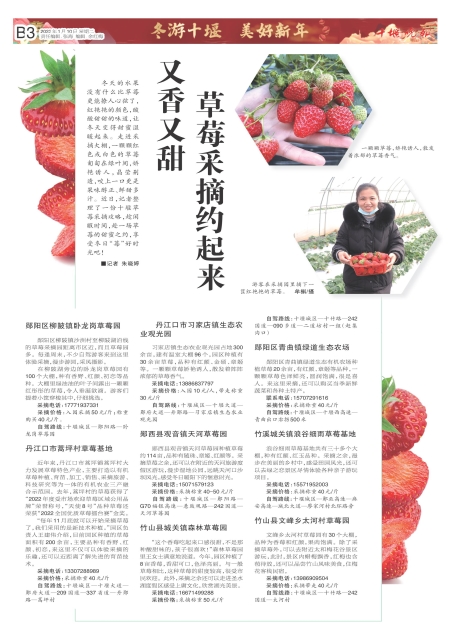 B03版导读
