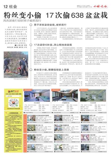 A12版导读
