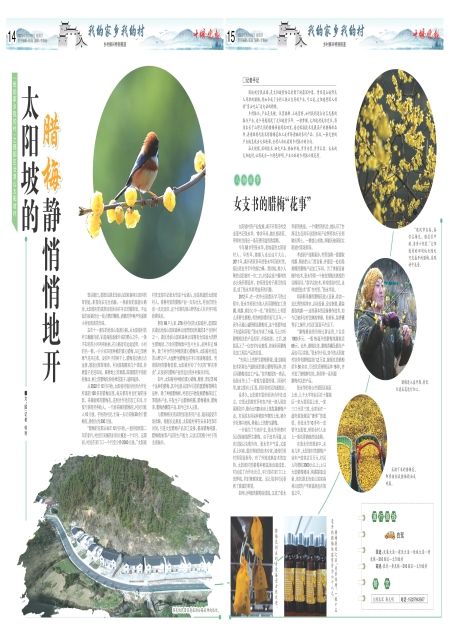 A15版导读
