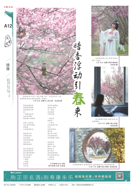 A12版导读