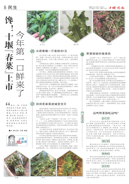 A05版导读
