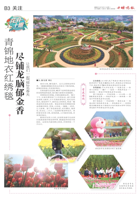 B03版导读