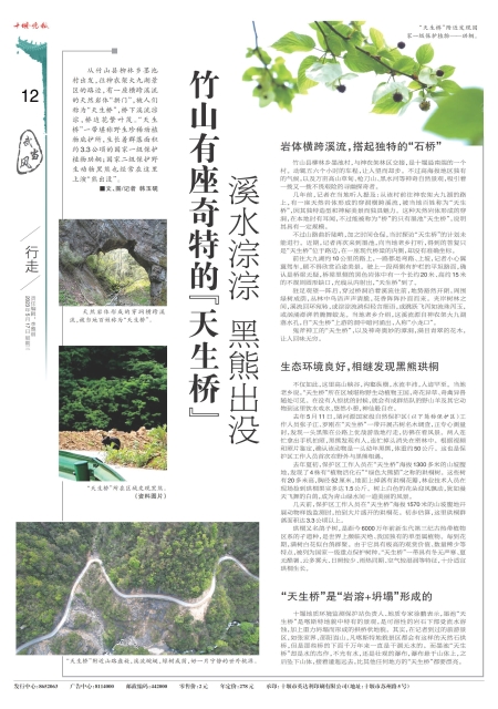 A12版导读