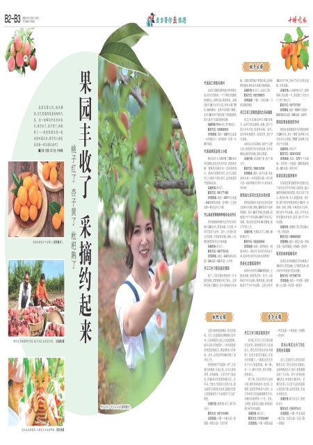 B02版导读