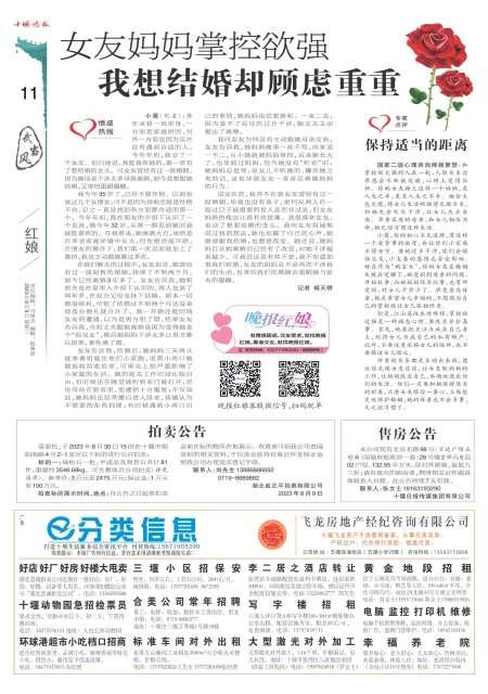 A11版导读