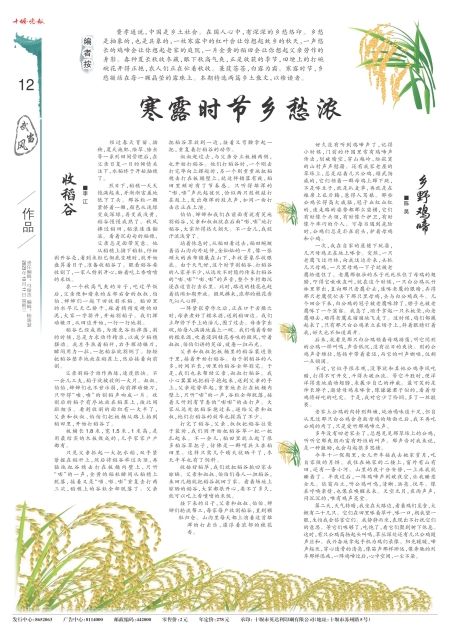 A12版导读