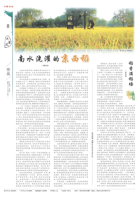 A08版导读