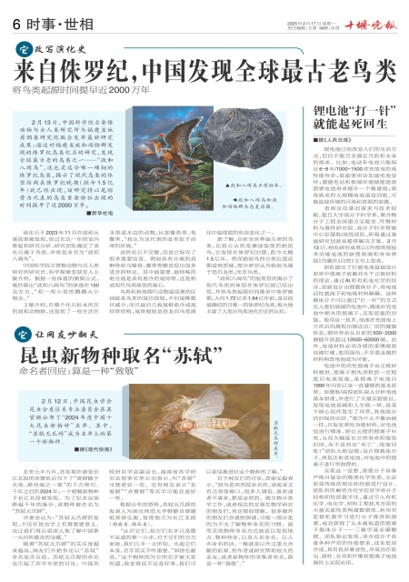 A06版导读