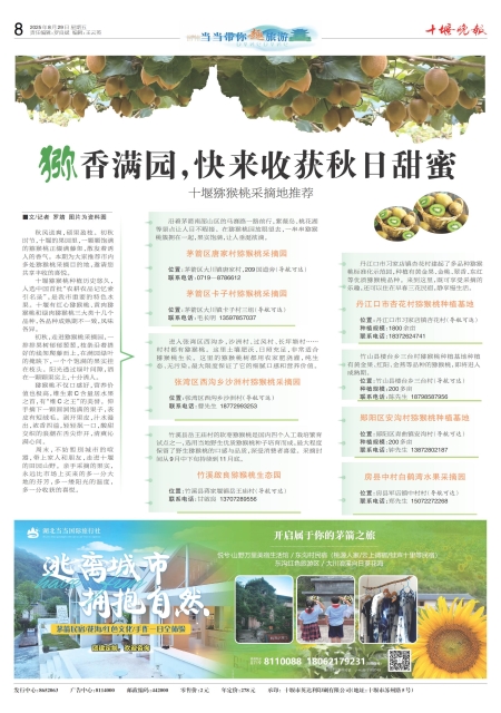 A08版导读