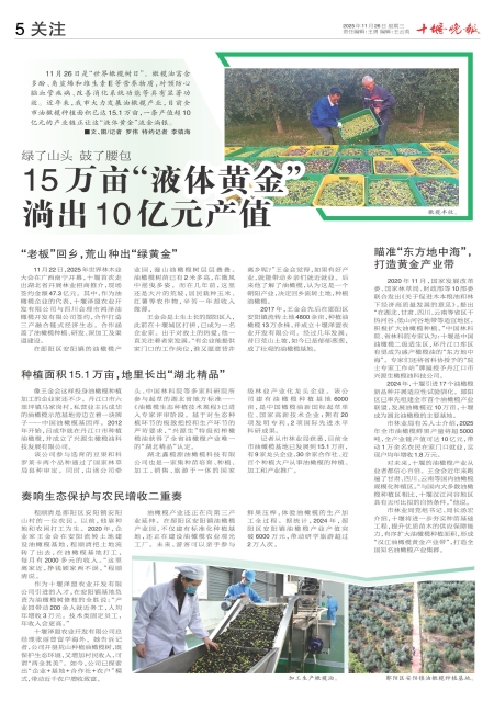 A05版导读