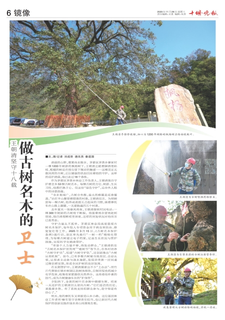 A06版导读