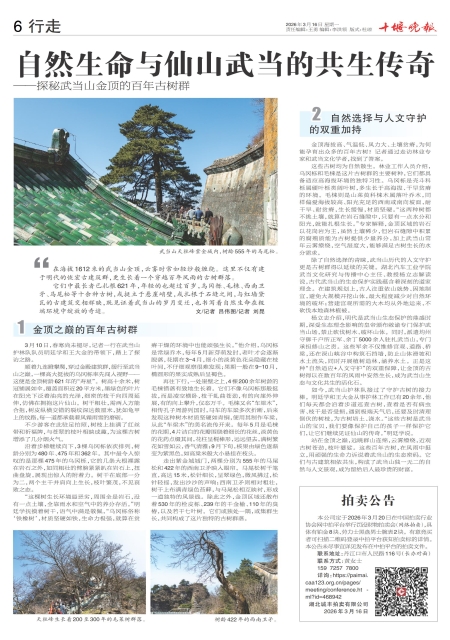 A06版导读