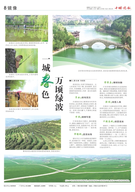 A08版导读