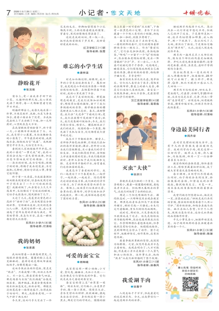 A07版导读