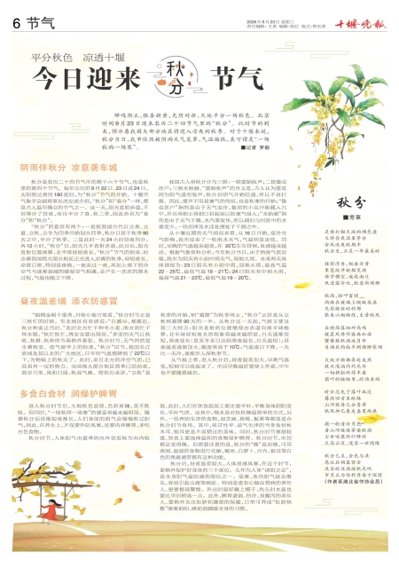 A06版导读