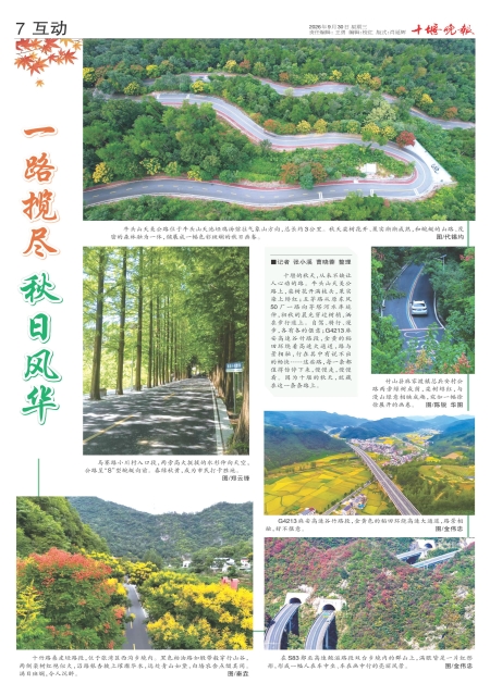 A07版导读
