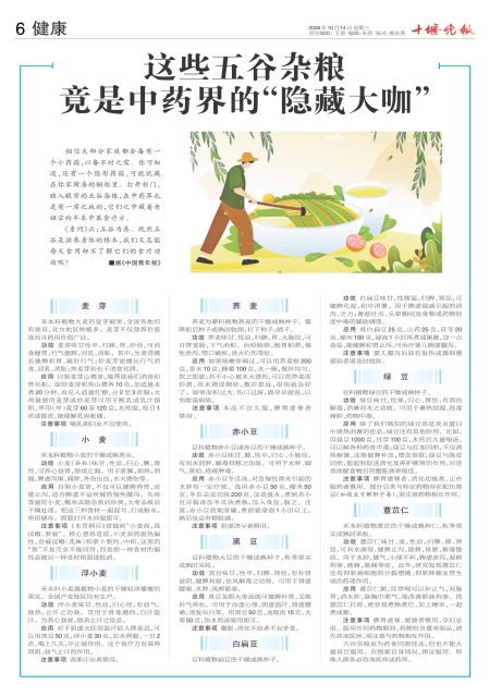 A06版导读