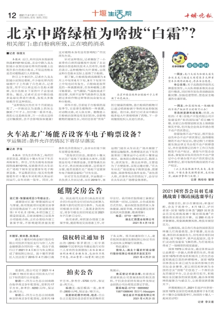 A12版导读