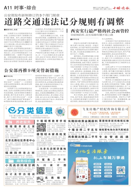 A11版导读