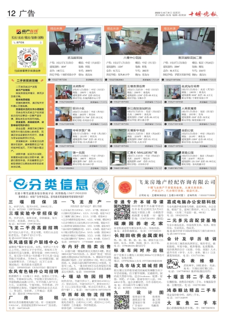 A12版导读