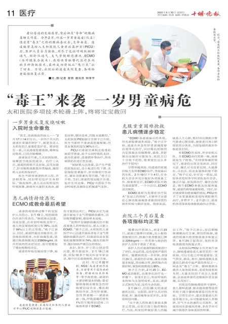 A11版导读