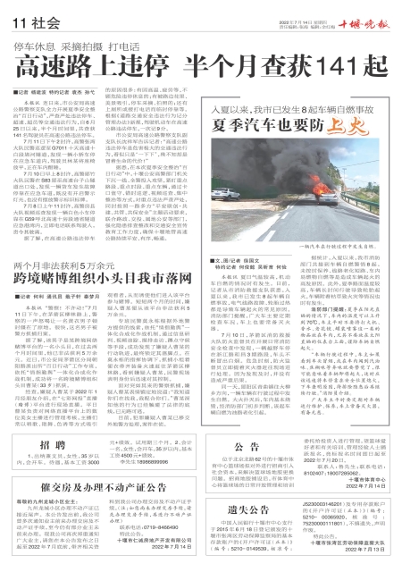 A11版导读