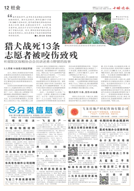 A12版导读