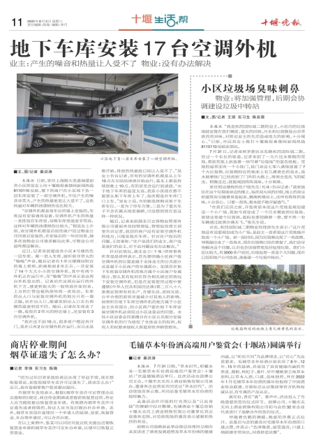 A11版导读