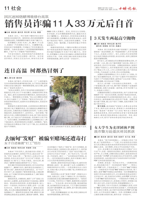 A11版导读
