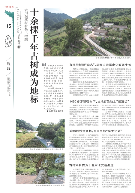 A15版导读