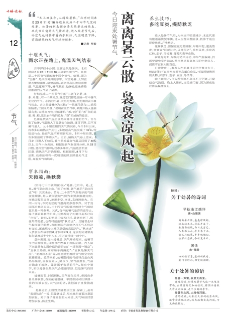 A12版导读